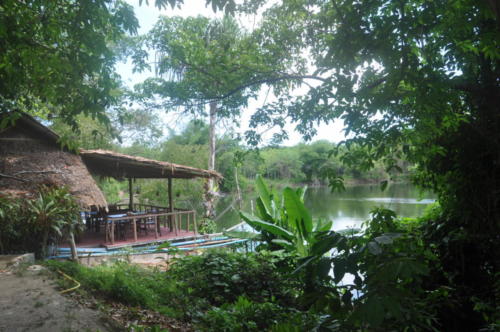 Shining Stars Kamala