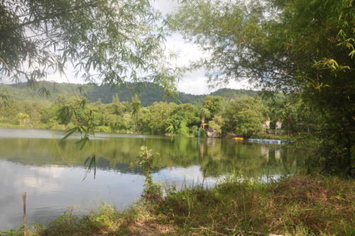 Shining Stars Kamala